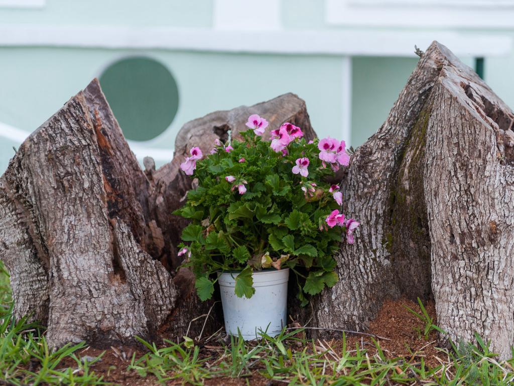 Bee'S Knees Retreat Villa Pesádha Екстериор снимка